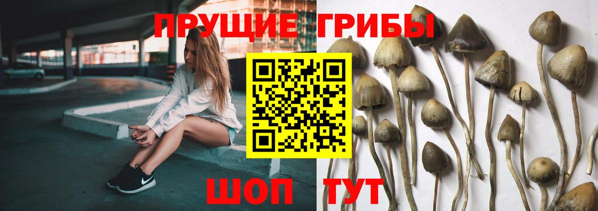 Псилоцибиновые грибы прущие грибы Домодедово